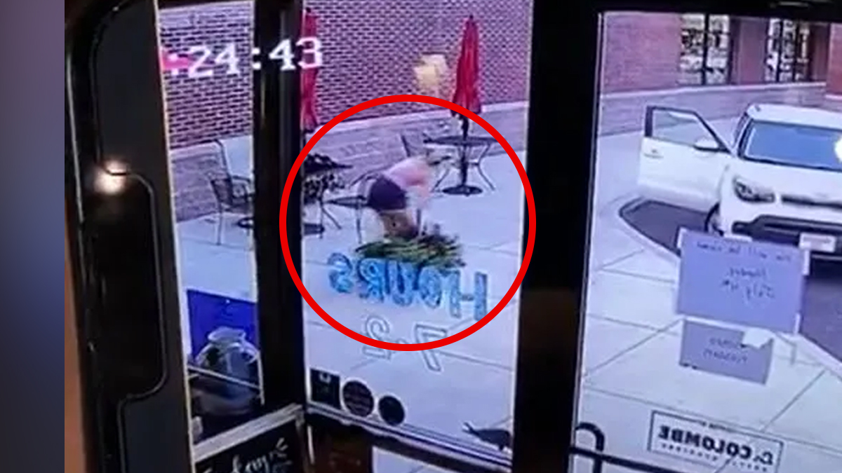 Plant Poacher Hits Doylestown Bagel Shop NBC10 Philadelphia