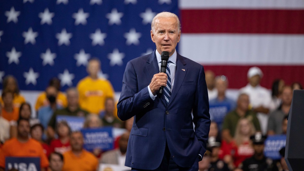 Joe Biden Tells Al Sharpton He Will Run for President Again in 2024