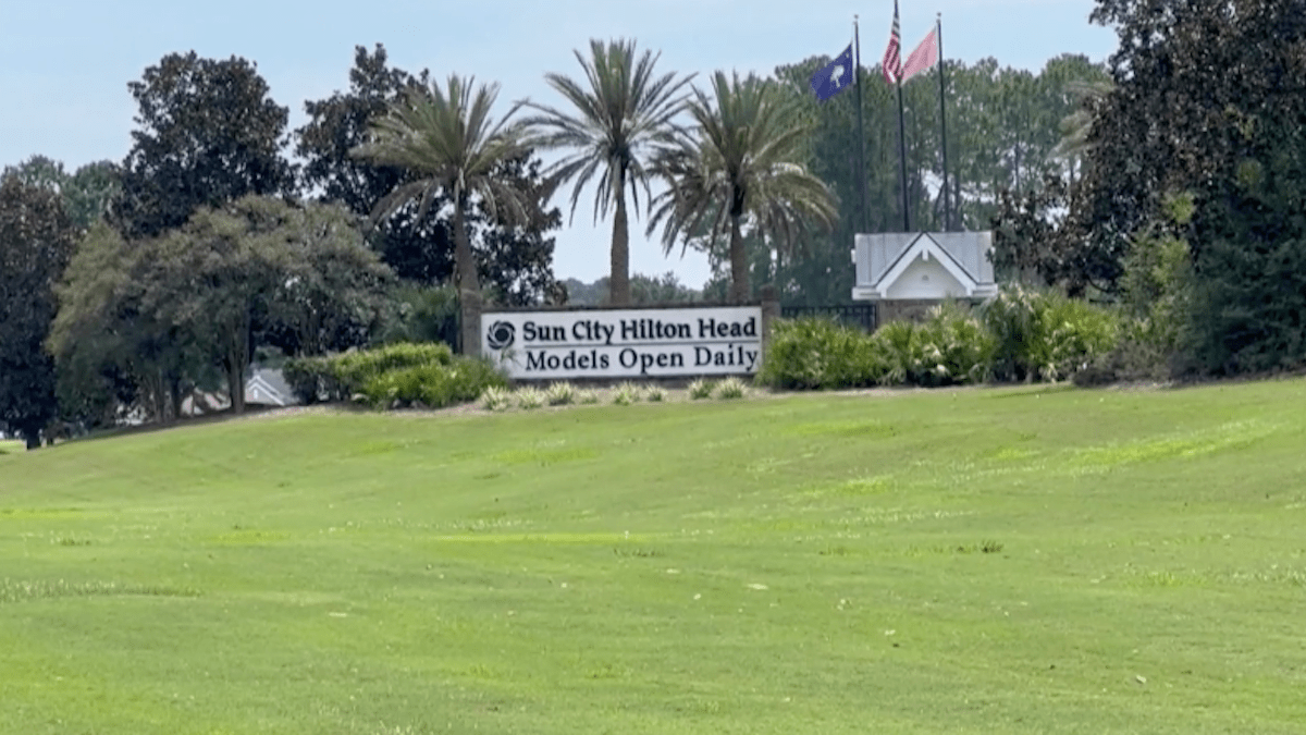 88-Year-Old Killed in Alligator Attack Near Hilton Head, South Carolina – NBC10 Philadelphia - Vimarsana News