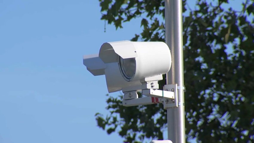 Speed Cameras in front of tree