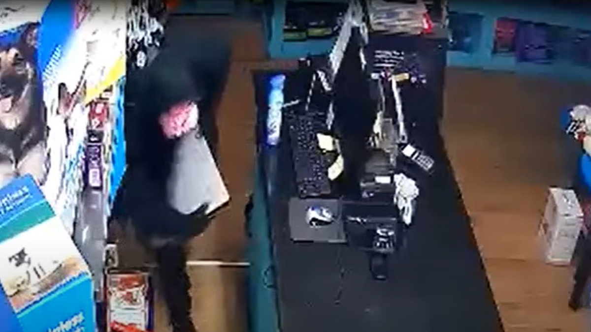 Watch: Thief Yanks Cash Registers From Philly Pet Store