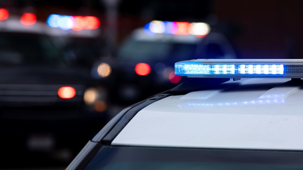 Child Killed After Deer Crashes Into Car Windshield Pennsylvania