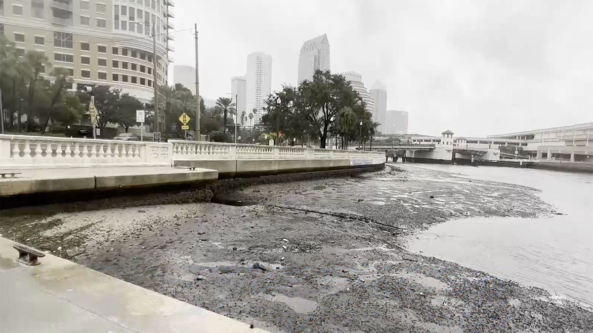 Watch: Images Show Waters in Florida Receding as Hurricane Ian Approaches