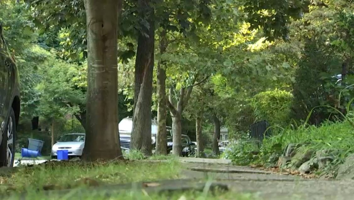 Woman, 71, Sexually Assaulted in Philadelphia Home Invasion – NBC10 Philadelphia - Vimarsana News