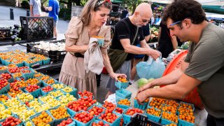 A shopper selects tomatoes at the 79th St. Greenmarket on the Upper West Side of Manhattan, on Sunday, August 21, 2022.