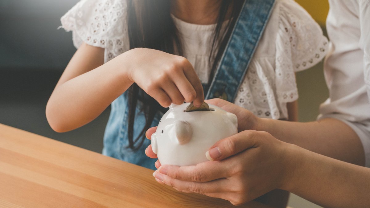 How to Use a Roth IRA as a Retirement Savings Vehicle for a Child - Vimarsana News