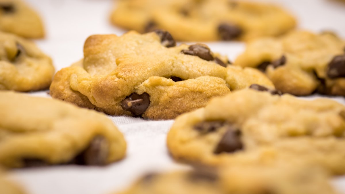 Utah's Cookie War Heats Up in Court – and on Social Media - Vimarsana News