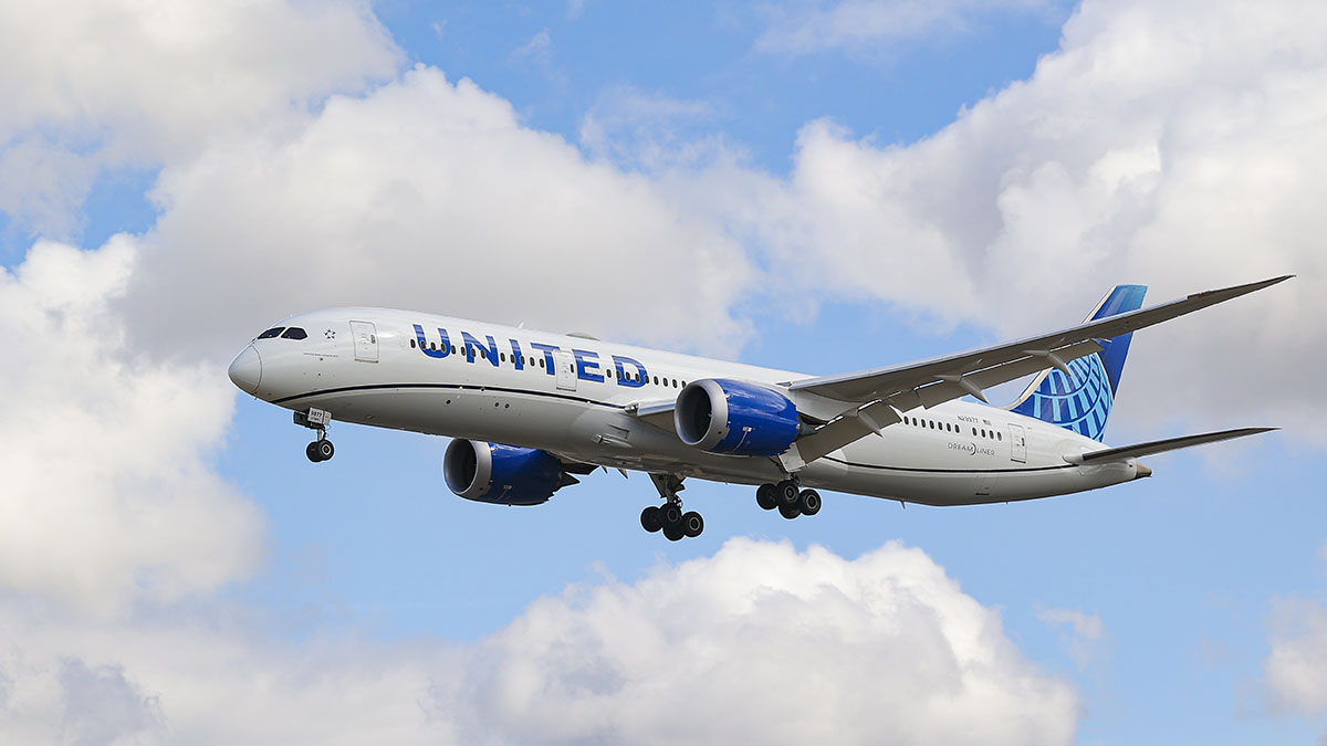 Snake on a Plane Unwanted Reptile Passenger Sneaks Onto United Flight