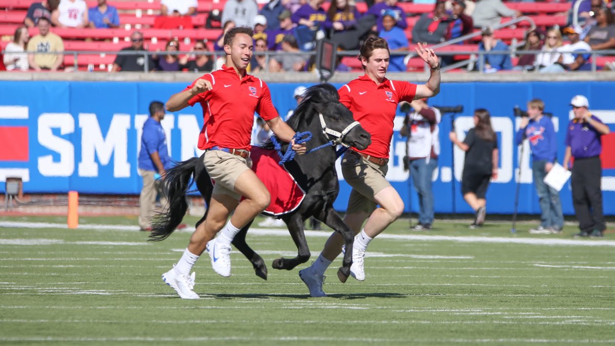 SMU-Navy Game Delayed After Pony Mascot Defecates on Football Field