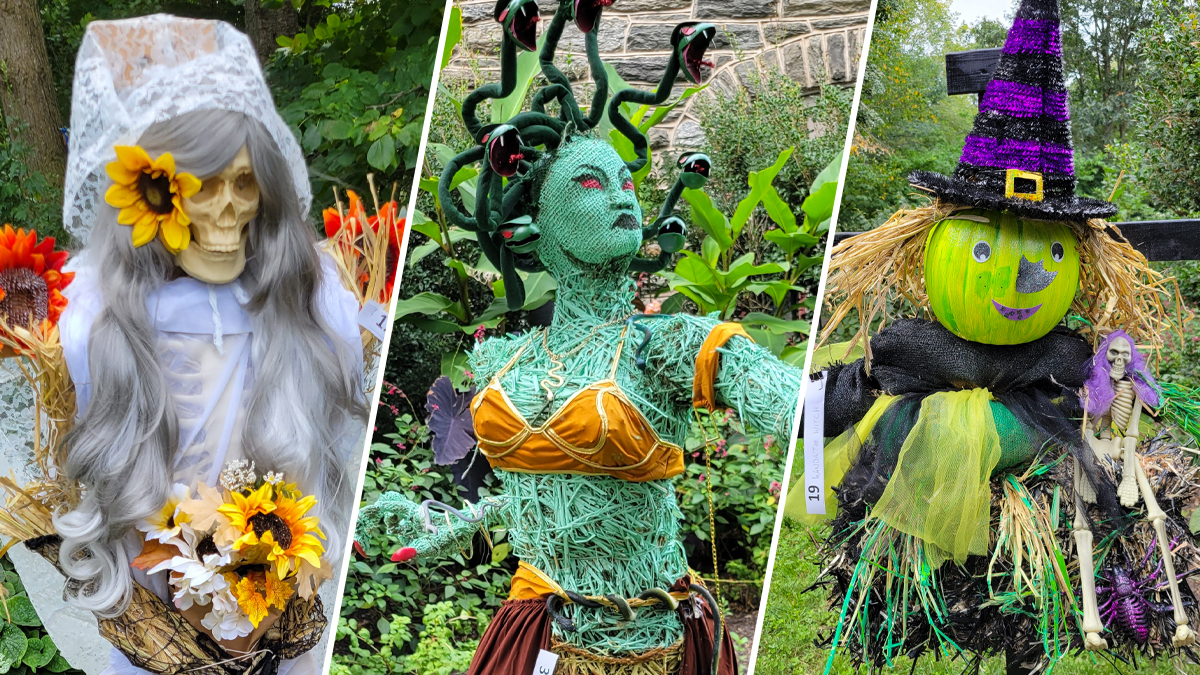 Go on Spooky Scarecrow Walk at Philly's Morris Arboretum – NBC10