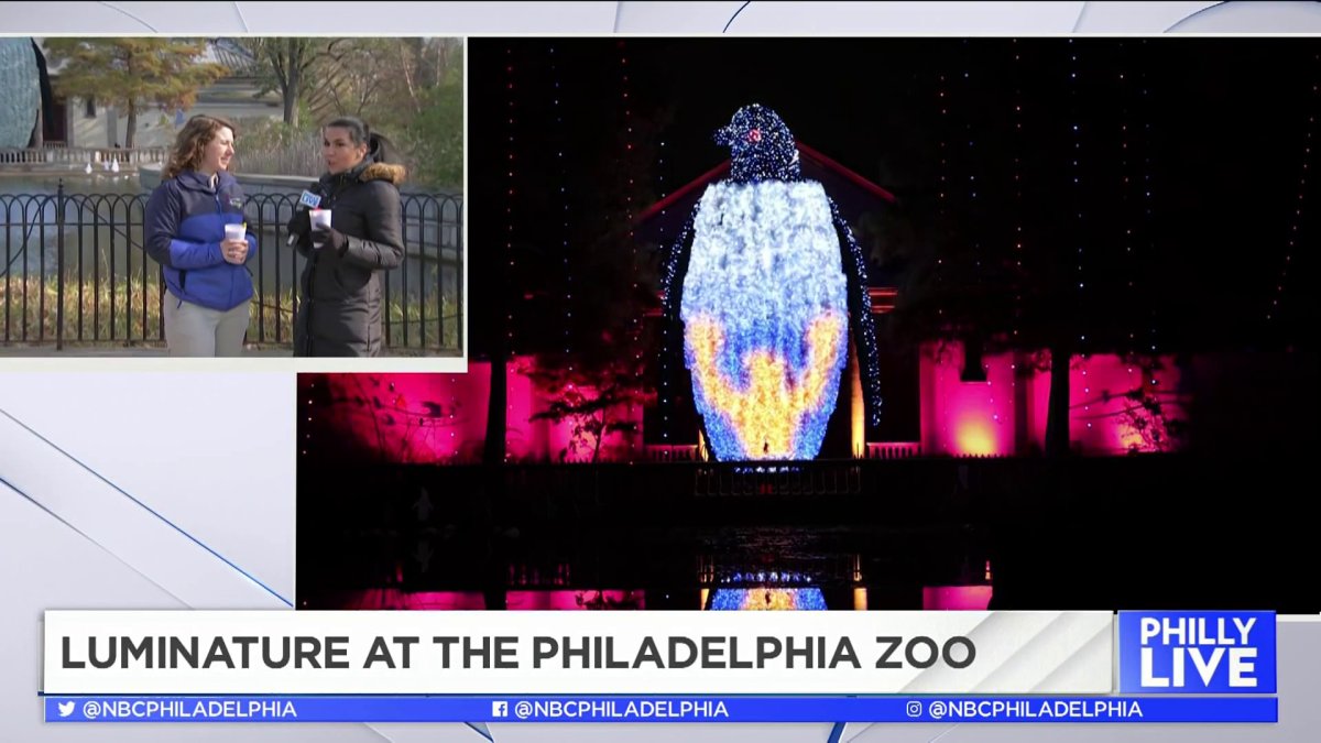 Philadelphia Zoo Holiday Light Show Returns NBC10 Philadelphia
