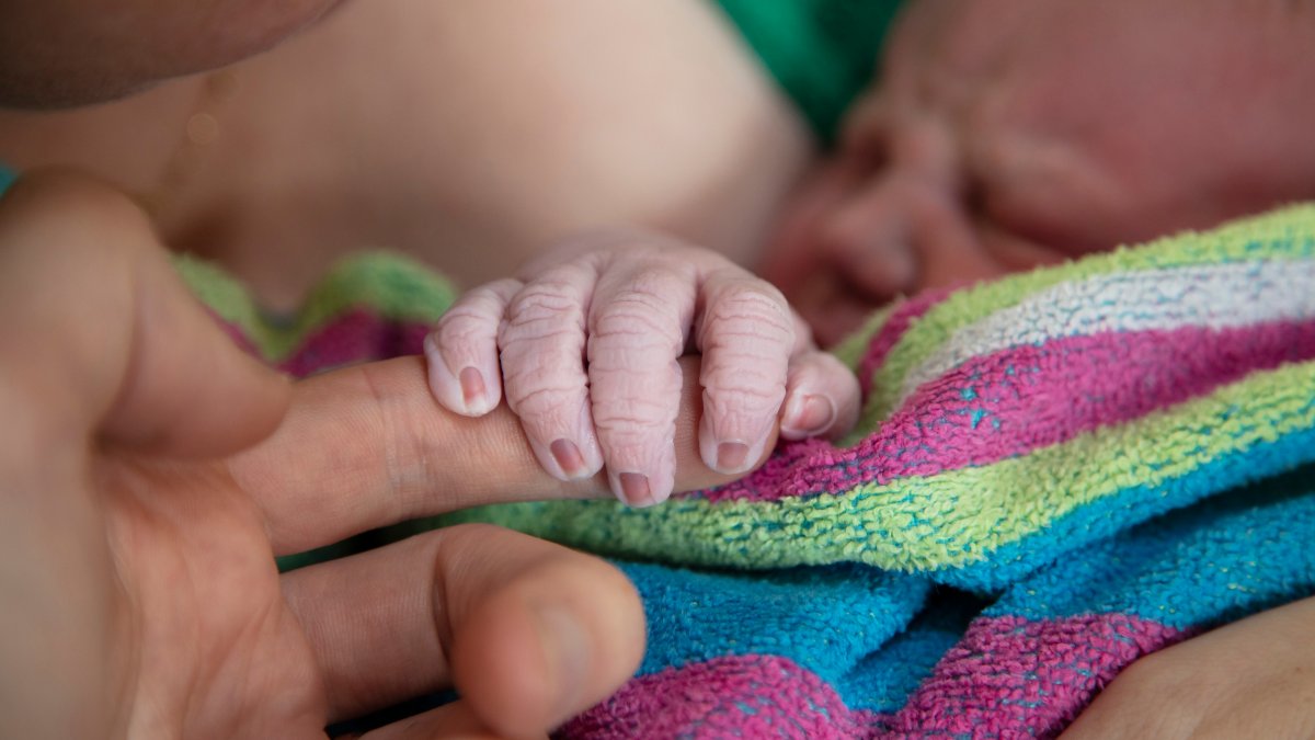 Home Births Increased in the US During COVID-19, Data Shows – NBC10 Philadelphia - Vimarsana News