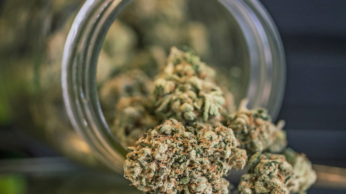 Atlantic City's 1st Recreational Pot Dispensary Opens on '420' – NBC10 Philadelphia - Vimarsana News
