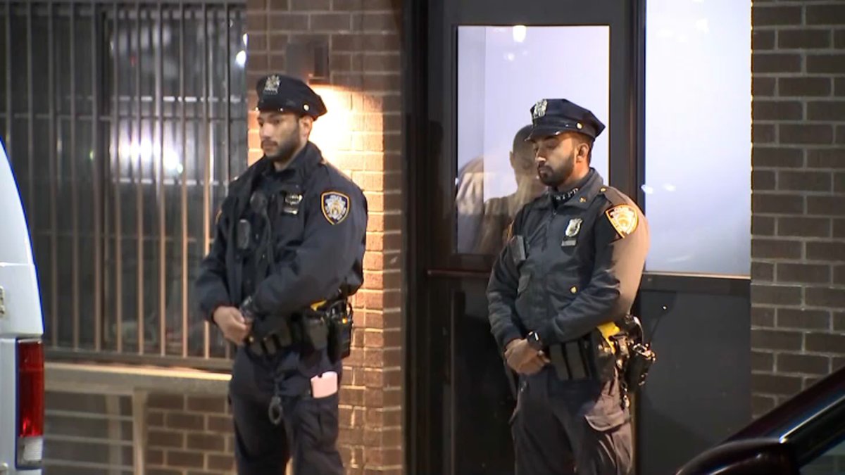 2 Young Children Stabbed to Death in New York Apartment: Police - Vimarsana News