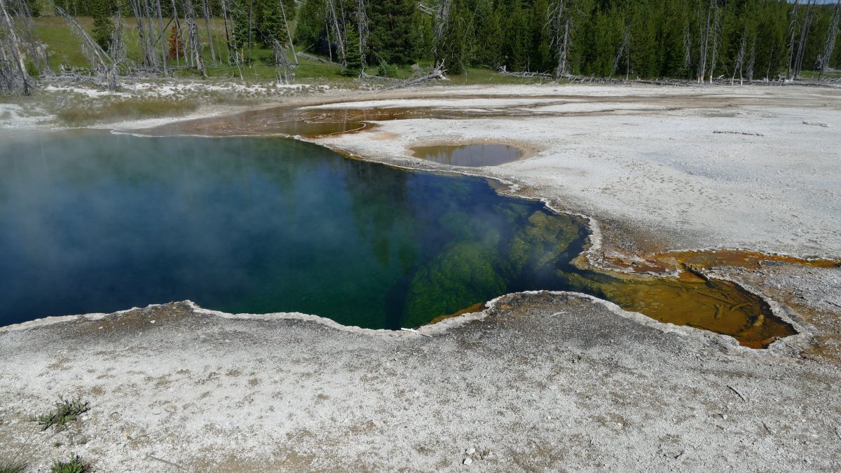 LA Man's Foot Found Floating in Yellowstone Hot Spring – NBC10 Philadelphia - Vimarsana News
