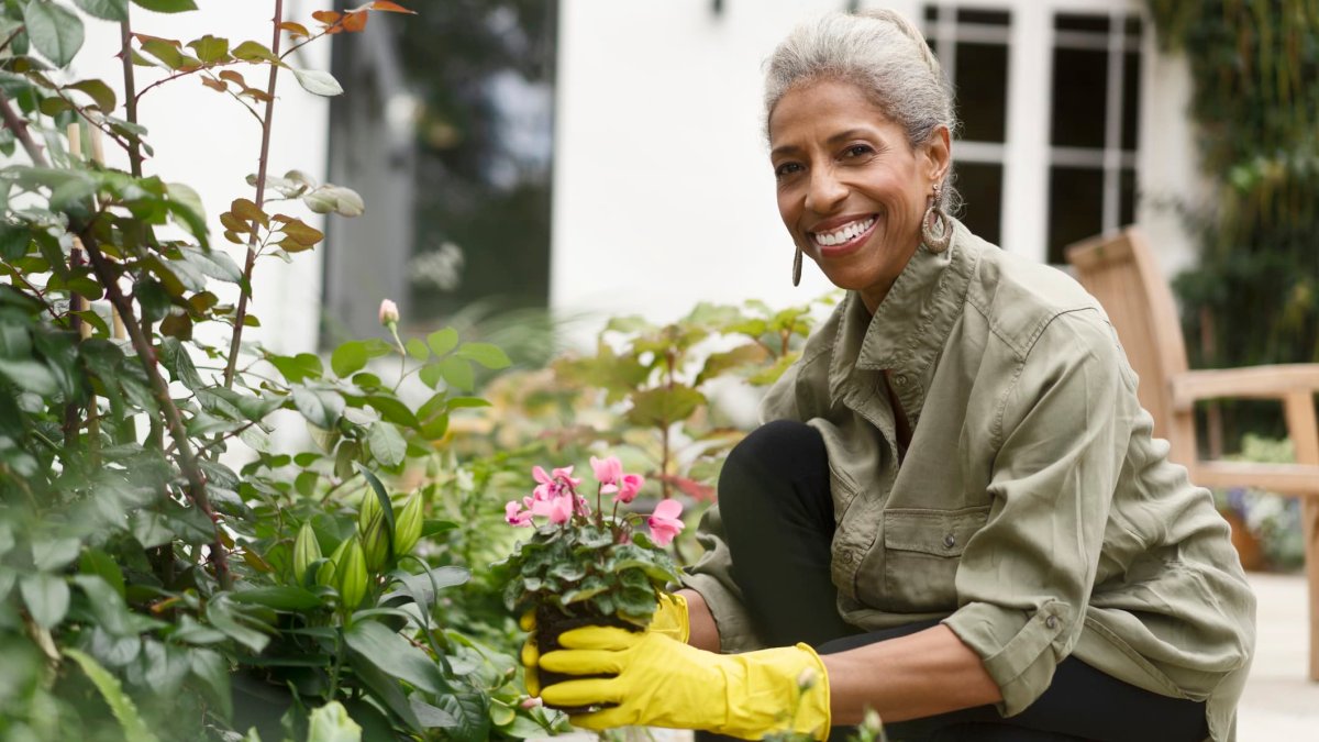 $1 Million in Retirement Savings Lasts Longest in These 10 States—Almost Half Are in the Southeast - Vimarsana News