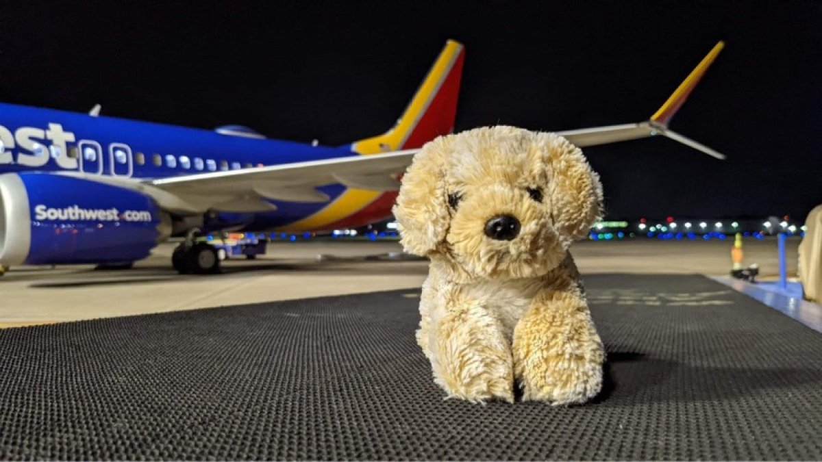 Southwest Airlines Returns Doll to Young Passenger NBC10 Philadelphia