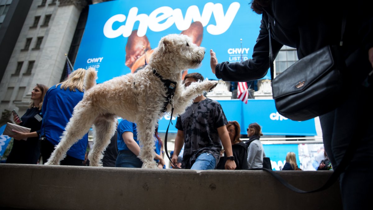 Chewy's Push Into Pet Telehealth Runs Into Regulatory Hurdles, Skeptical Veterinarians - Vimarsana News