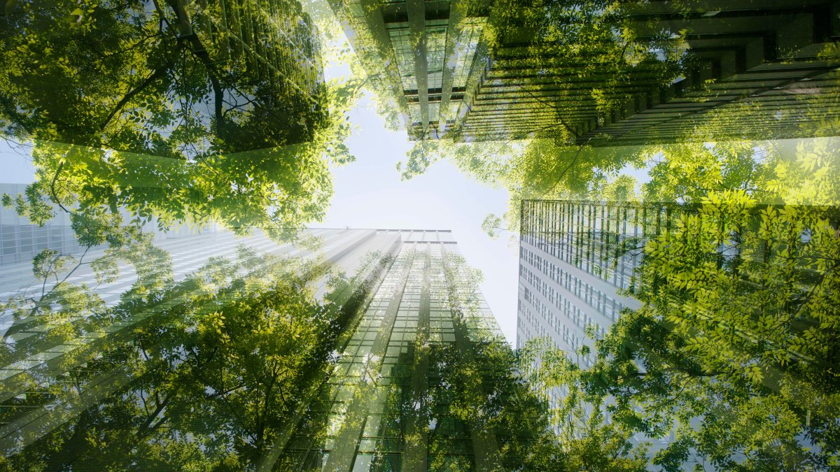 'Green' Offices in London Are Over 25% More Expensive. But a Modern Workforce Now Expects It – NBC10 Philadelphia - Vimarsana News