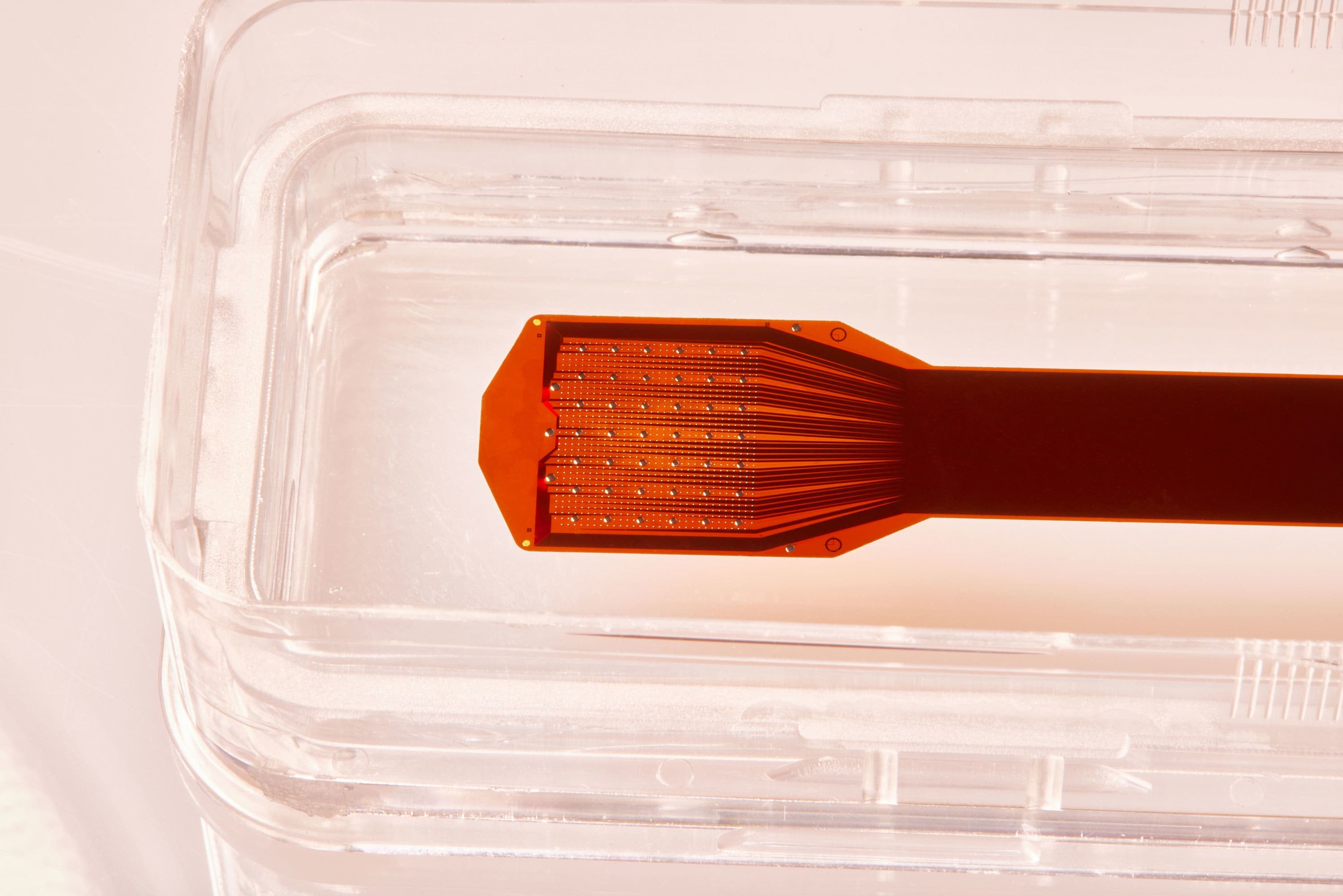 Precision Neuroscience, Co-Founded by Neuralink Alum, Is Creating a Brain Implant Thinner Than a Human Hair - Vimarsana News