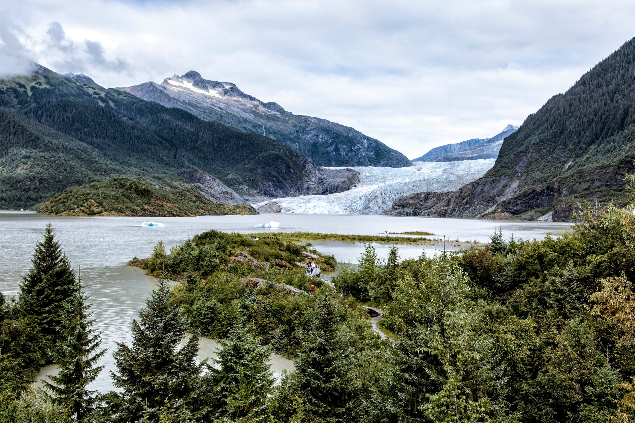 Biden Restores Protections for Alaska's Tongass National Forest After Trump Rollback - Vimarsana News