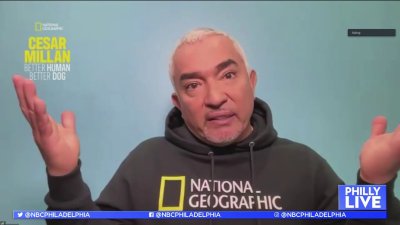 Celebrity Dog Trainer Cesar Millan Is Teaching Humans New Tricks ...