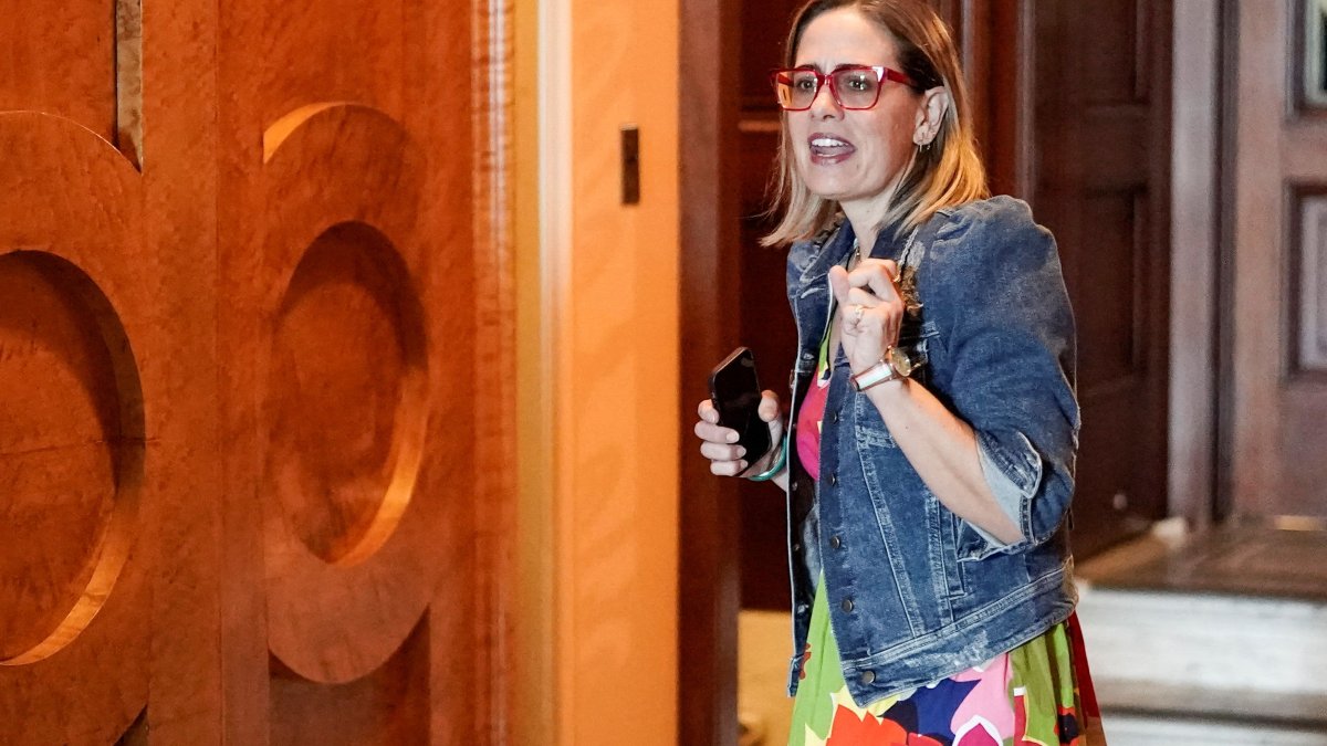 Sen. Kyrsten Sinema Pulls in Cash From Wall Street, Real Estate Titans as She Mulls Reelection Bid - Vimarsana News