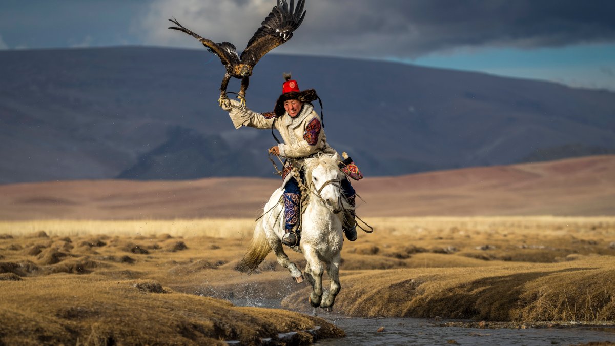 See the Photos That Won National Geographic's 'Pictures of the Year' Contest – NBC10 Philadelphia - Vimarsana News