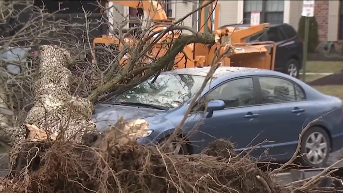 National Weather Service Confirms An EF2 Tornado Touched Down in Mercer ...