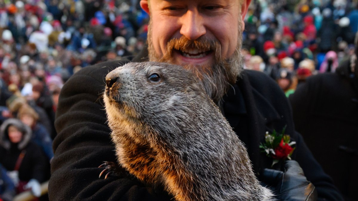 How Accurate are Punxsutawney Phil's Predictions? It Depends Where You Live - NBC 10 Philadelphia
