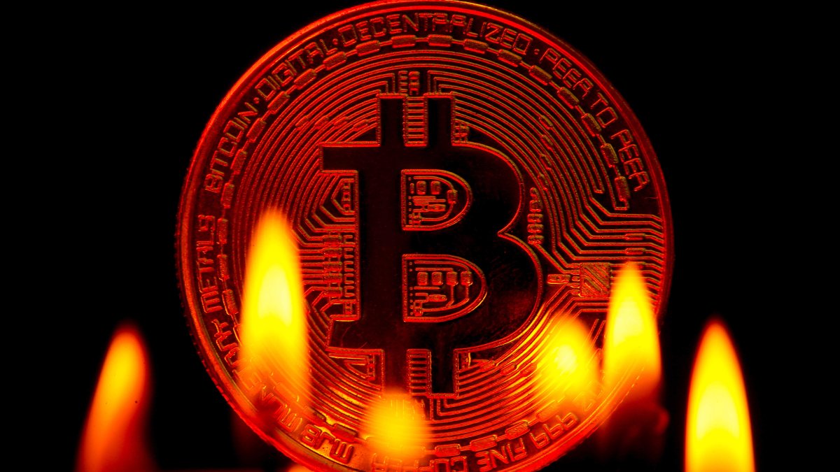 Cryptocurrencies Rally Despite Shutdown of Crypto Friendly Signature Bank, Bitcoin Tops $24,000 - Vimarsana News