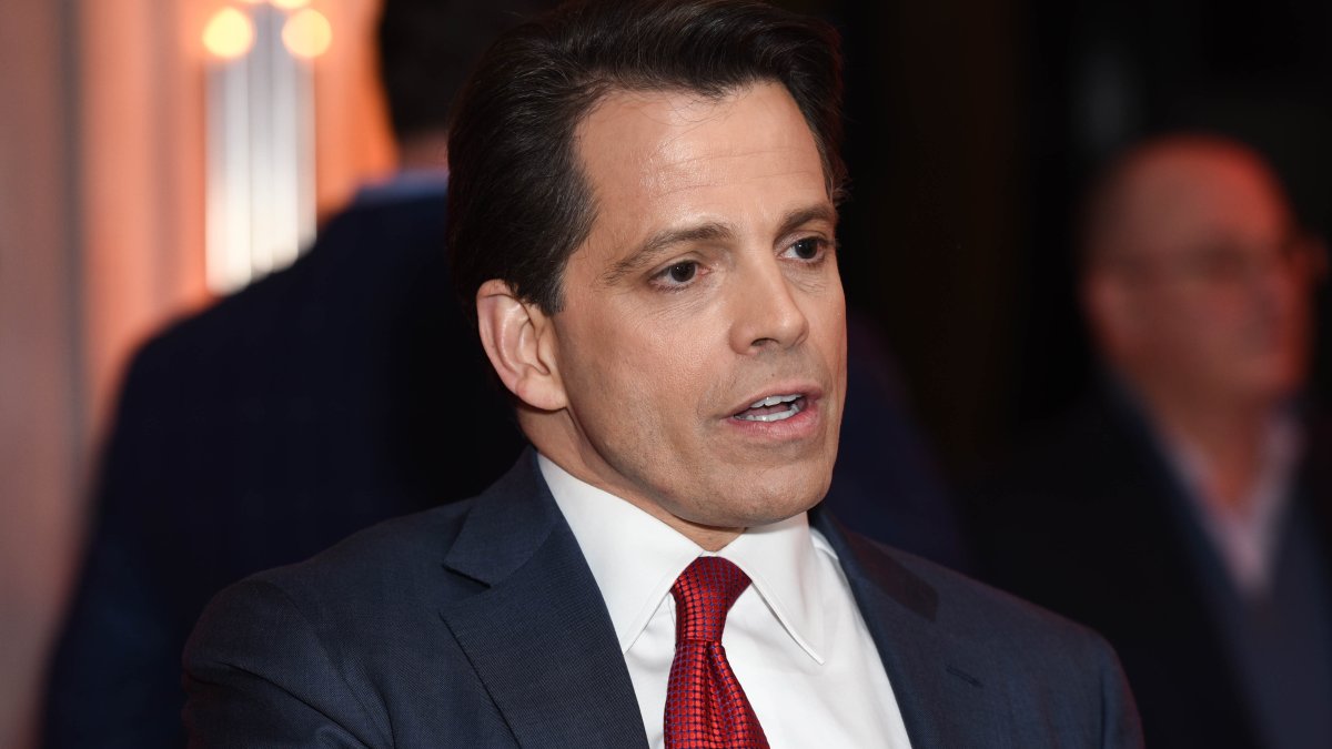 Op-Ed: Blockchain and Crypto Need a Trellis, Not Just a Weed Killer, Says Scaramucci - Vimarsana News