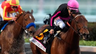 Art Collector, ridden by jockey Junior Alvarado, leads the field to win the Pegasus World Cup Invitational horse race, Saturday, Jan. 28, 2023, at Gulfstream Park in Hallandale Beach, Fla.