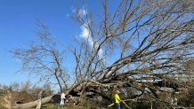 A fallen tree blocks the street on Saturday, March 25, 2023 in Silver City, Miss.  Emergency officials in Mississippi say several people have been killed by tornadoes that tore through the state on Friday night, destroying buildings and knocking out power as severe weather produced hail the size of golf balls moved through several southern states. 