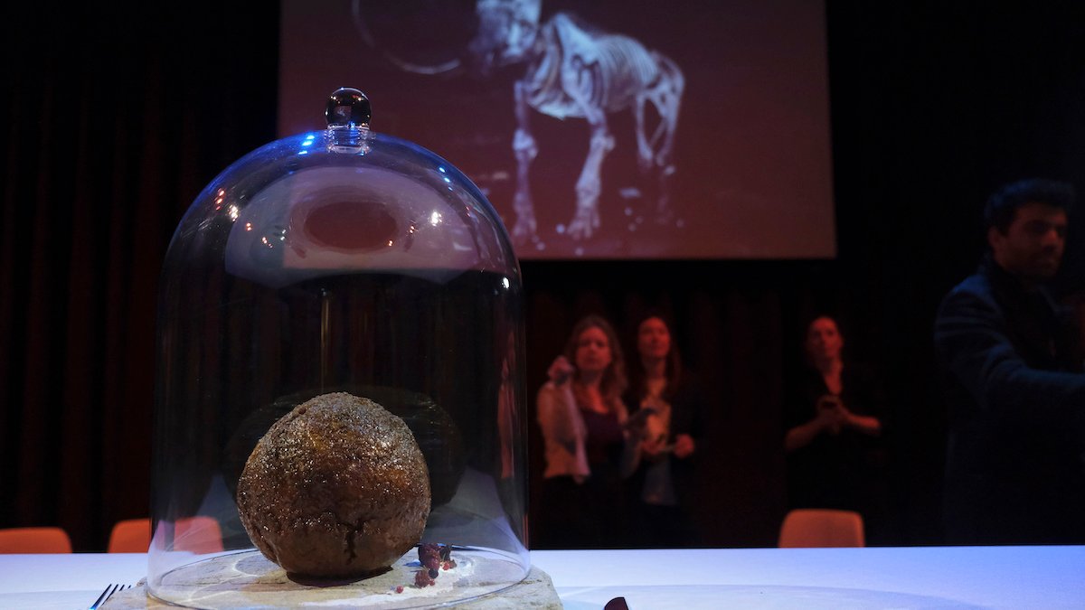 Startup Unveils Meatball Made With Mammoth DNA – NBC10 Philadelphia - Vimarsana News