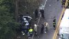 Car Ripped Apart Against a Tree in Crash on Main Line