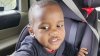 Body of Florida Toddler Found in Alligator Jaws After Mother Murdered: Police