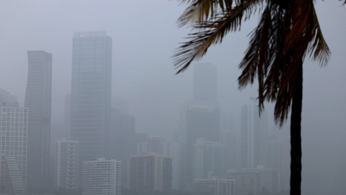 CNBC Daily Open: Signs of a Coming Storm - Vimarsana News
