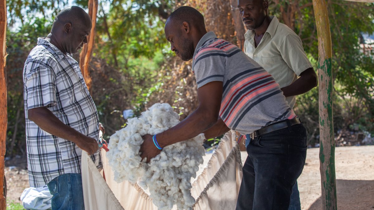 How Timberland, Vans, VF Corp. Are Making Sure Their Cotton Isn't 'Greenwashed' – NBC10 Philadelphia - Vimarsana News