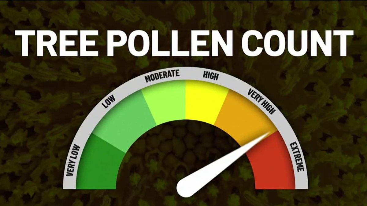 Tips on Dealing With Allergy Season NBC10 Philadelphia