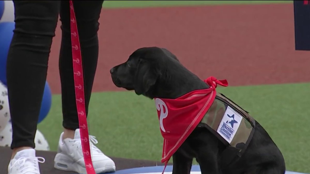 Major Philadelphia Phillies service dog in training visits MMR