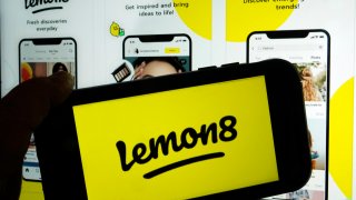This photo shows the logo and application page for the social media site Lemon8