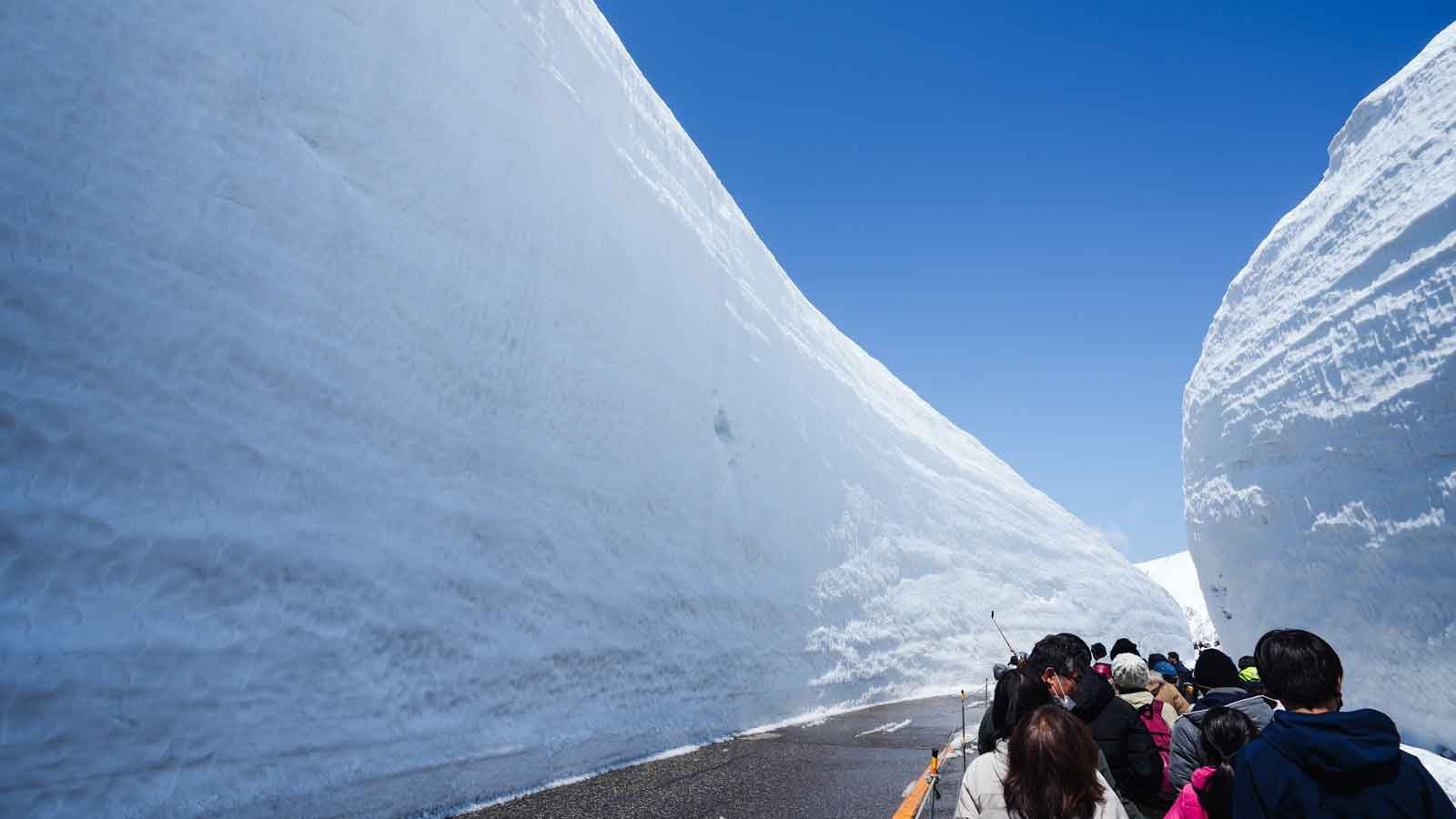 Japanese Snow Corridor Reopens for Summer Months - Vimarsana News