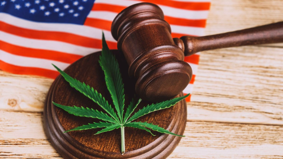 Here Are All the States That Have Legalized Weed in the US – NBC10 Philadelphia - Vimarsana News