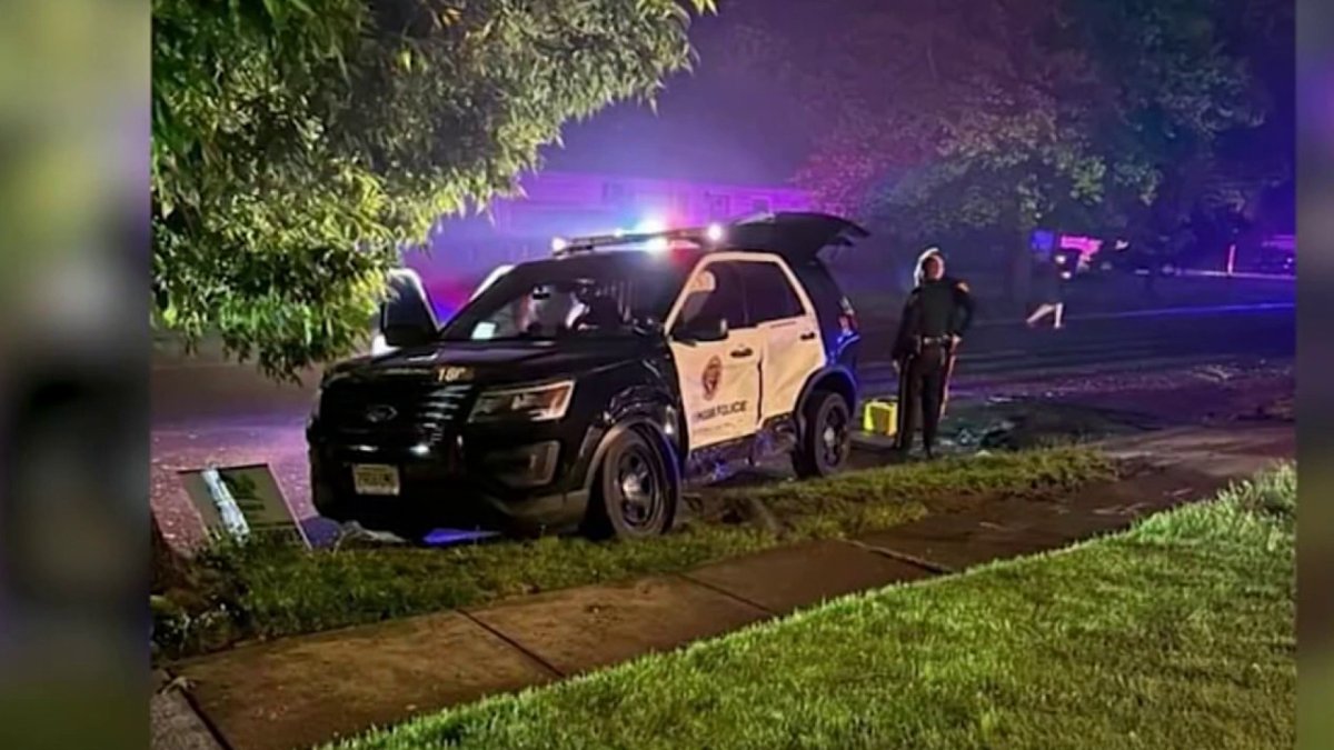 NJ Driver Accused of Intentionally Crashing Into Police Cars, Wife ...