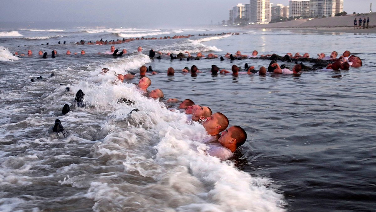 SEALs Training Plagued by Pervasive Problems, Navy Finds – NBC10 Philadelphia - Vimarsana News