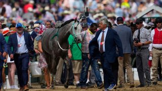 Here Mi Song is taken to the equine ambulance after the10th horse race at Churchill Downs Saturday, May 6, 2023, in Louisville, Ky.