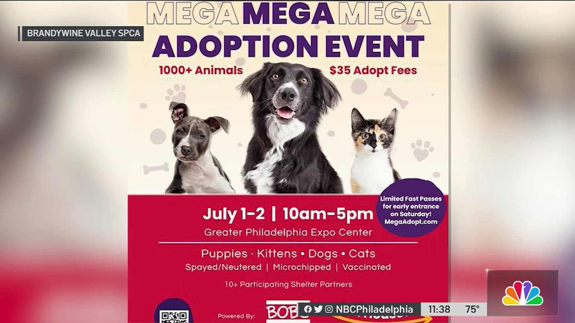 Pet adoption events hot sale near me 2019