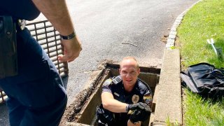 A police officer pulls a duckling out of a storm drain.