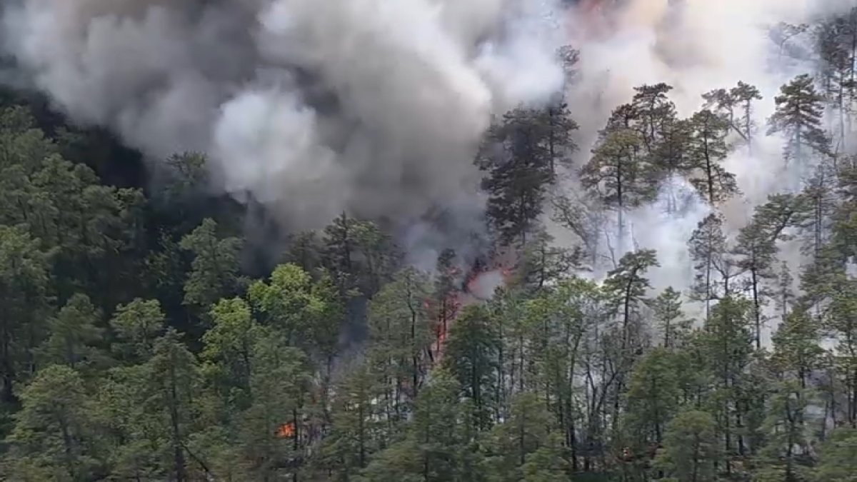 Firefighters battle wildfire in Burlington County, NJ NBC10 Philadelphia